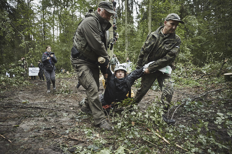 Szef Lasów Państwowych w Białymstoku przeprosił aktywistów broniących Puszczy. Przeprosiny nie mogą ograniczać się do słów. Muszą oznaczać, realizację postulatów, o które wtedy walczyliśmy: cała Puszcza musi stać się parkiem narodowym.