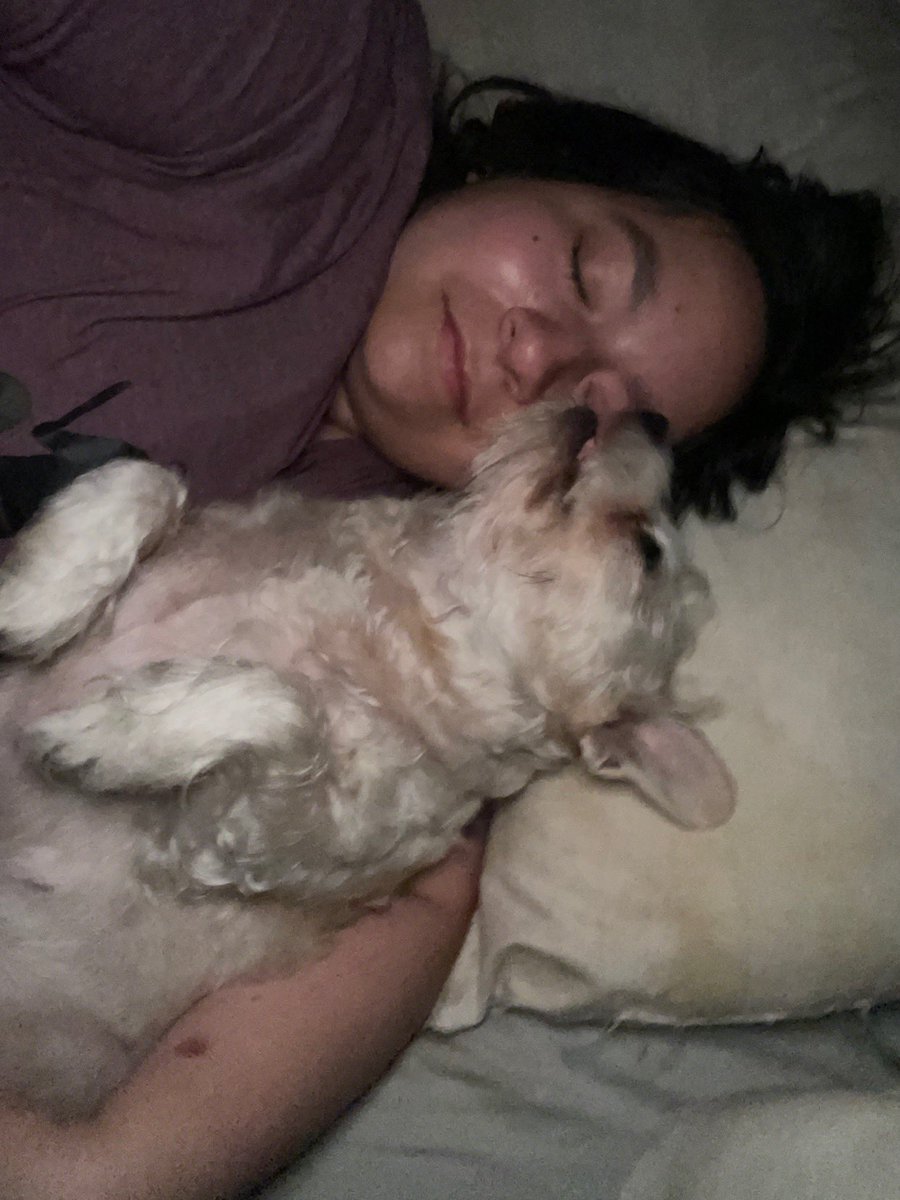 PrincessOTRB's tweet photo. Missing my baby girl rn @Princess_Woody_ #dogsbestfriend #mybestie #princess #otrb #dogsofx #dogsoftwitter #pets https://t.co/ne9jxQqVPh