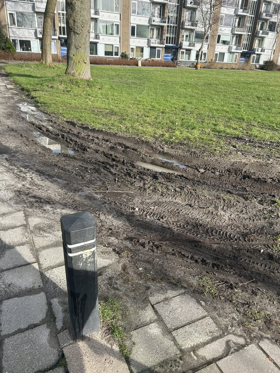 LM Weber tweet media