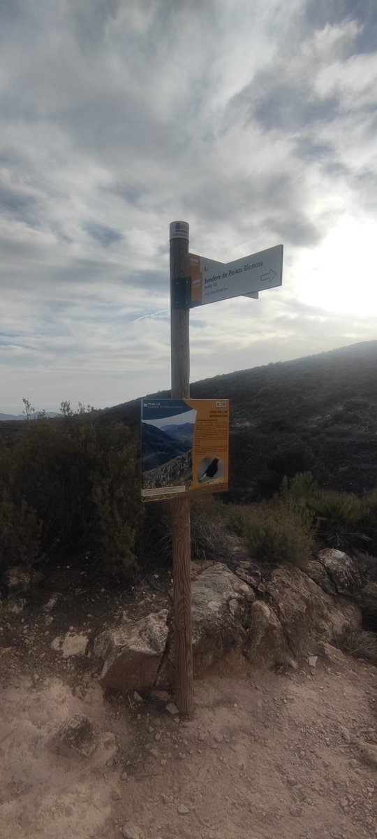 pedrogarciasaez's tweet photo. Para cuando el @AytoMazarron también marcará los #senderos de sierra de las #moreras por ejemplo para evitar que cada uno vaya por donde quiera. #envidia #naturaleza #senderismo https://t.co/8BhYBIN9Vu