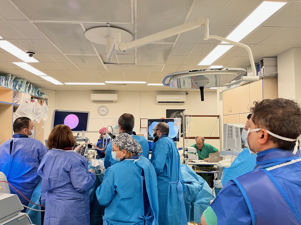 CookMedSurg's tweet photo. We loved hosting a Vista education course in Greece 🇬🇷 Thank you to these amazing participants in our Prone Percutaneous Nephrolithotomy (PCNL) and Flexible Uretero-Renoscopy (fURS)Vista course at the University Hospital of Patras, Greece, 30th Jan to 1st Feb. #CookVista #MedEd https://t.co/VHwRl1qZqR