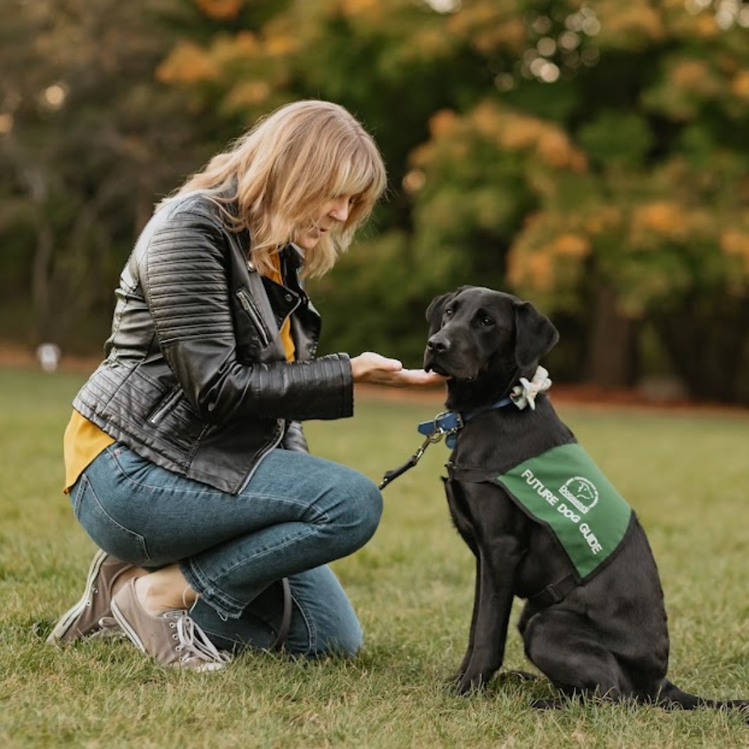 LFC Dog Guides tweet media