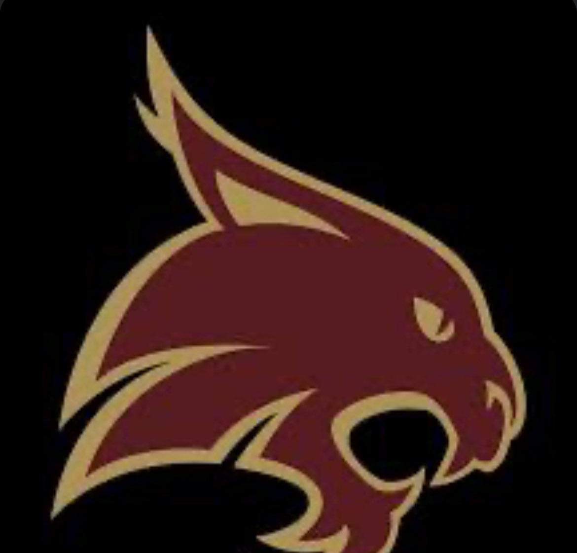 tevisluke19's tweet photo. #AGTG After a great conversation with @CoachWillBryant I am extremely blessed to receive my second offer from Texas State! @TXSTATEFOOTBALL @LDKep @j73killough https://t.co/tzBlyWiwqc
