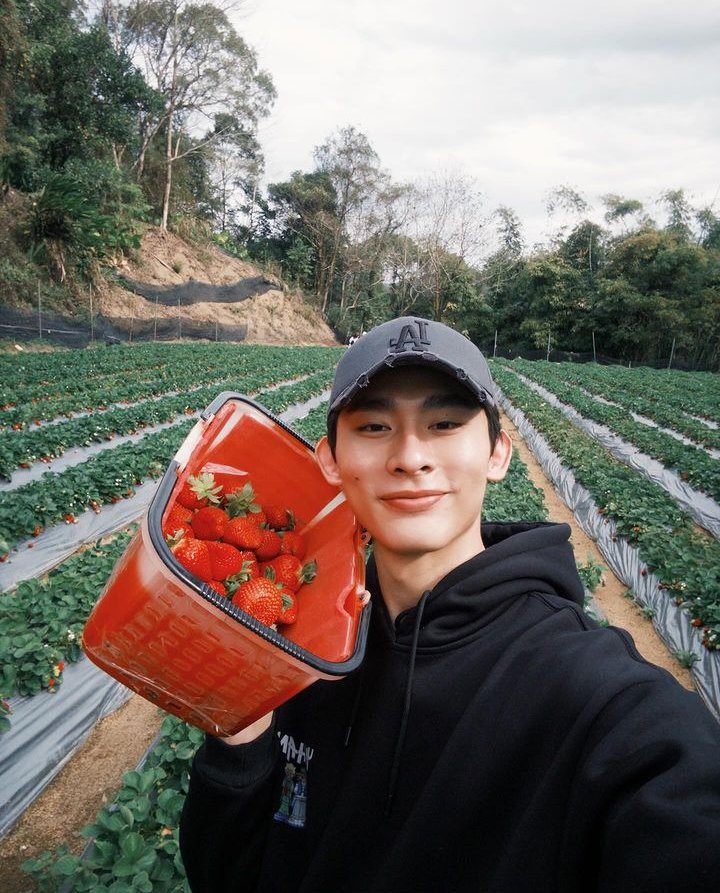 quanruige's tweet photo. Cowoknya suka strawberry jdi doi bikin cake pun semua serba strawberry sampe2 ada strawberry day. Mau seharian di kebun strawberry jga hayoook wkwkkk taro kirain jalan sendiri njir taunya sama cowok u itu yg demen berry berry strawberry 🍓

#林毓桐 #徐愷 #白范cp
#TaroLin #KaiHsu https://t.co/KSOEArYtib