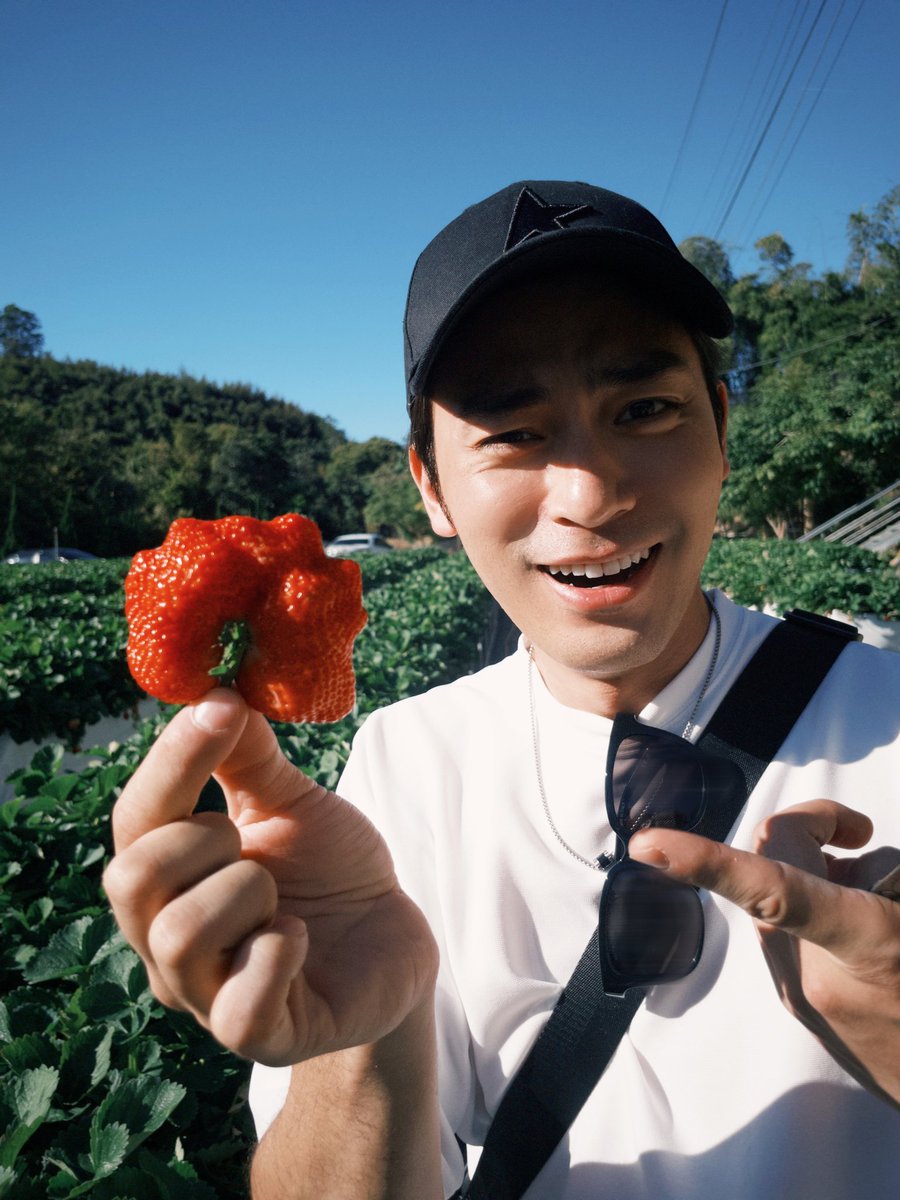 quanruige's tweet photo. Cowoknya suka strawberry jdi doi bikin cake pun semua serba strawberry sampe2 ada strawberry day. Mau seharian di kebun strawberry jga hayoook wkwkkk taro kirain jalan sendiri njir taunya sama cowok u itu yg demen berry berry strawberry 🍓

#林毓桐 #徐愷 #白范cp
#TaroLin #KaiHsu https://t.co/KSOEArYtib