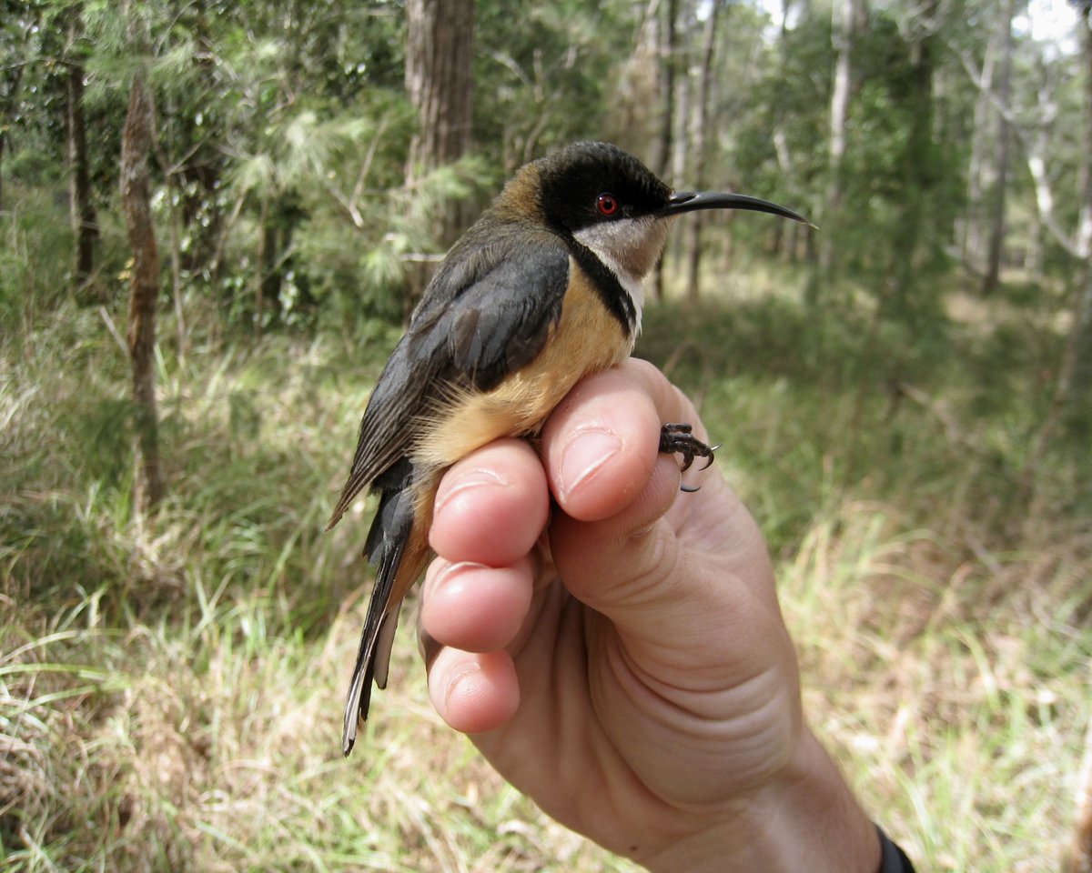 Dan Baldassarre tweet media