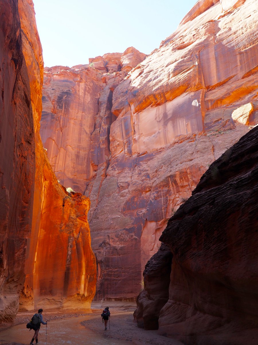 In 2016 my girls and I hiked 40 miles from White House, Utah to Lee's Ferry Arizona through Paria Canyon. It was 6 days of water, mud and quicksand.  Glorious sufferfest. Unmatched beauty and terror.