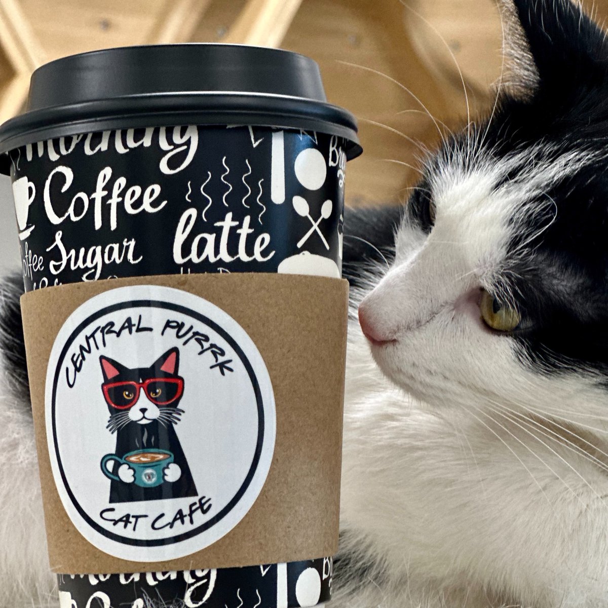 GotoGtown's tweet image. Have you ever explored Georgetown, Kentucky's unique Foodie scene? #GotoGtown #GtownEats
More: georgetownky.com/dining