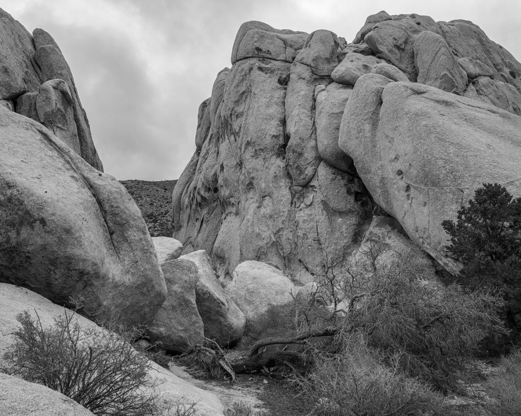 Ansel Adams vibes 

#photography #sonyalpha #bnw #bnwphotography #joshuatree #desert #travelphotography #discoverwithalpha #alphacollective instagr.am/p/C3DVlT7gPLm/