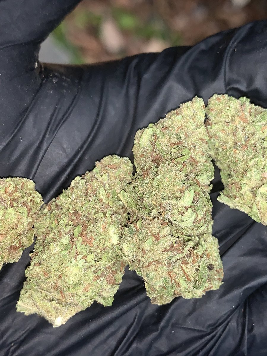hewweeds's tweet photo. Nicokush  (Evap)🥷 1g42 10+37 
บริการปลายทางชนมือนครปฐมติดต่อไลน์https://t.co/XwdO1f5B5I หรือDmได้เลยครับ #นครปฐม #นครปฐมนัดเย็ด #นครปฐมรับงาน #นครปฐมในเมือง #ศาลายา #กำแพงแสน #ศิลปากร #มหิดล #นครชัยศรี #ดอนตูม #สามพราน #บางเลน #FWBนครปฐม #ONSนครปฐม #ตัวเมืองนครปฐม #โสด #เหงา https://t.co/1fXxBOp8p7