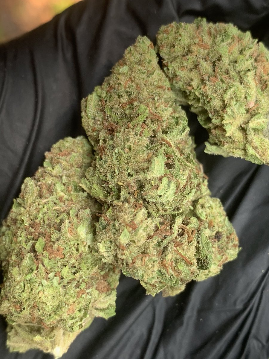 hewweeds's tweet photo. Nicokush  (Evap)🥷 1g42 10+37 
บริการปลายทางชนมือนครปฐมติดต่อไลน์https://t.co/XwdO1f5B5I หรือDmได้เลยครับ #นครปฐม #นครปฐมนัดเย็ด #นครปฐมรับงาน #นครปฐมในเมือง #ศาลายา #กำแพงแสน #ศิลปากร #มหิดล #นครชัยศรี #ดอนตูม #สามพราน #บางเลน #FWBนครปฐม #ONSนครปฐม #ตัวเมืองนครปฐม #โสด #เหงา https://t.co/1fXxBOp8p7