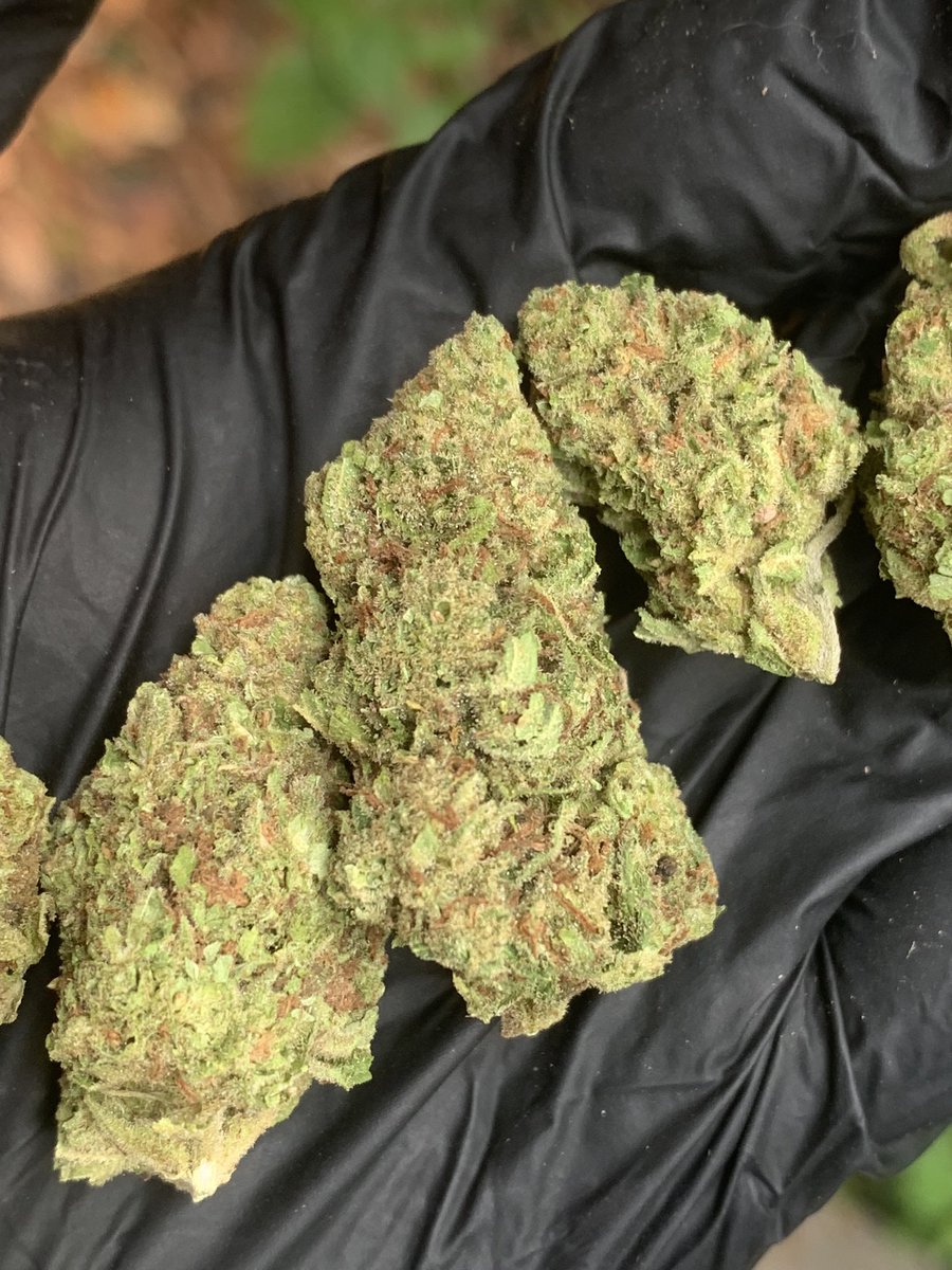 hewweeds's tweet photo. Nicokush  (Evap)🥷 1g42 10+37 
บริการปลายทางชนมือนครปฐมติดต่อไลน์https://t.co/XwdO1f5B5I หรือDmได้เลยครับ #นครปฐม #นครปฐมนัดเย็ด #นครปฐมรับงาน #นครปฐมในเมือง #ศาลายา #กำแพงแสน #ศิลปากร #มหิดล #นครชัยศรี #ดอนตูม #สามพราน #บางเลน #FWBนครปฐม #ONSนครปฐม #ตัวเมืองนครปฐม #โสด #เหงา https://t.co/1fXxBOp8p7