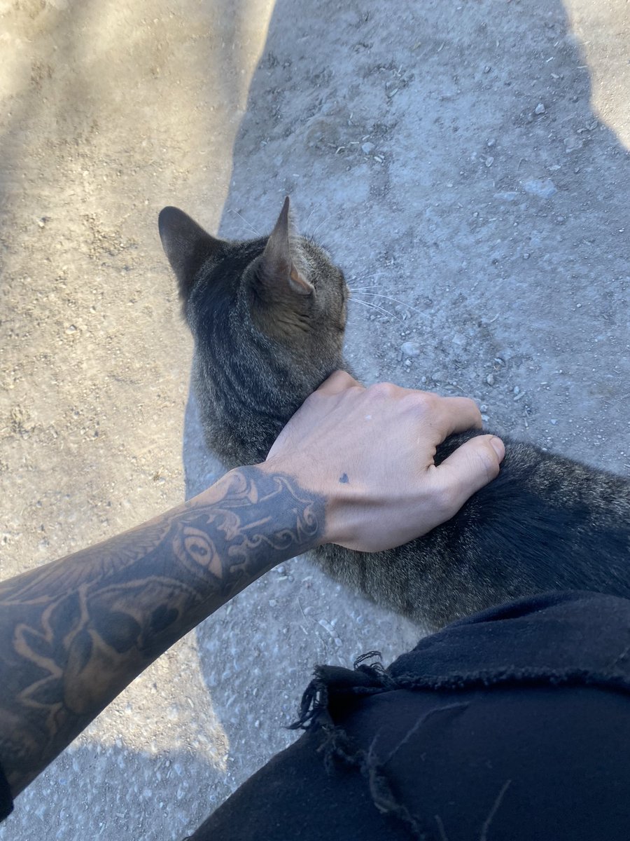 R300198's tweet photo. 😻 https://t.co/csRRD5XMKE