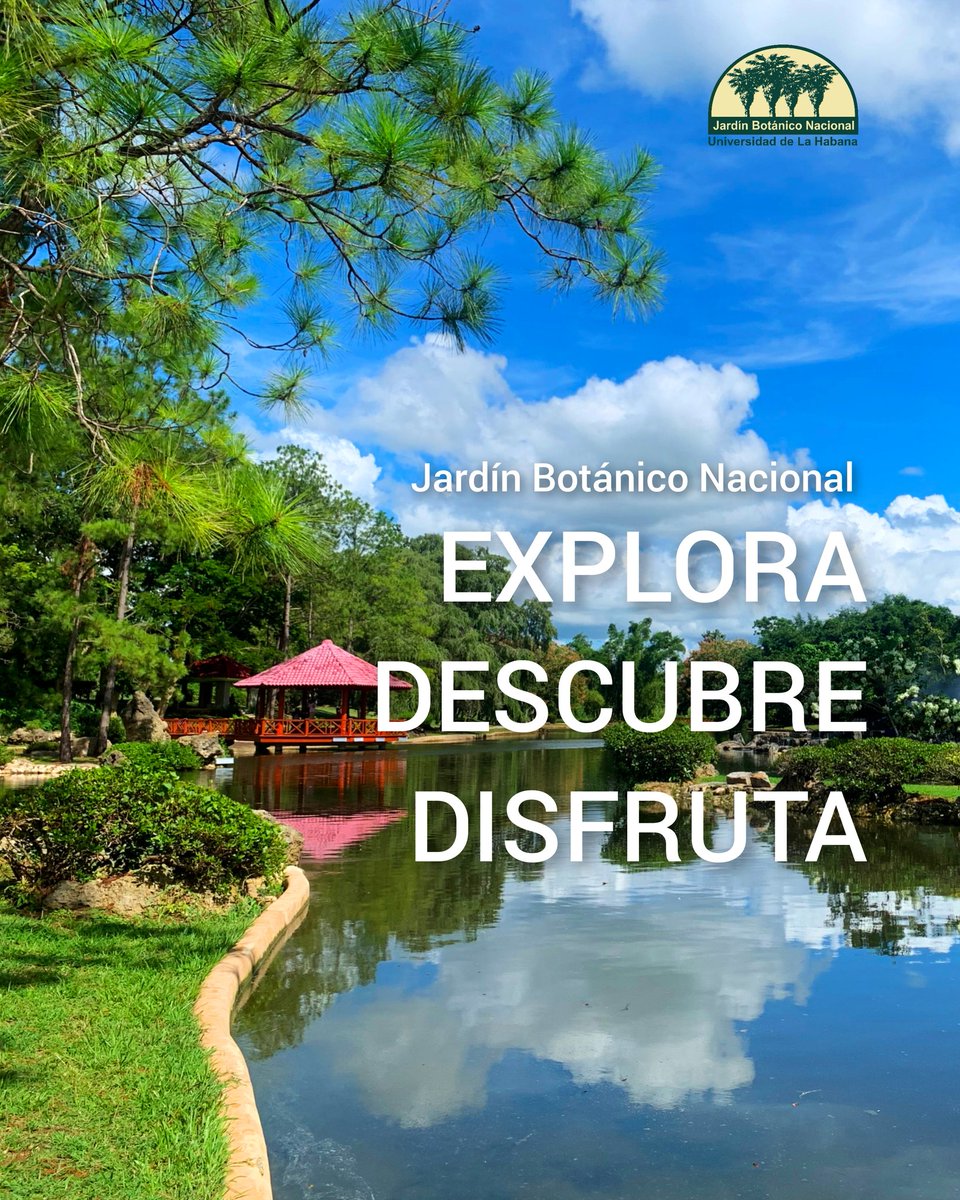 JBNUnivHabana's tweet photo. 🌿 ¡Descubre la belleza de la naturaleza en nuestro Jardín Botánico! 🌸 Abierto de miércoles a domingo, de 9:00 am a 4:00 pm, en Carretera del Rocío, km 3.5, Calabazar, Boyeros.

#SomosJBN https://t.co/QQAi8VJvvr