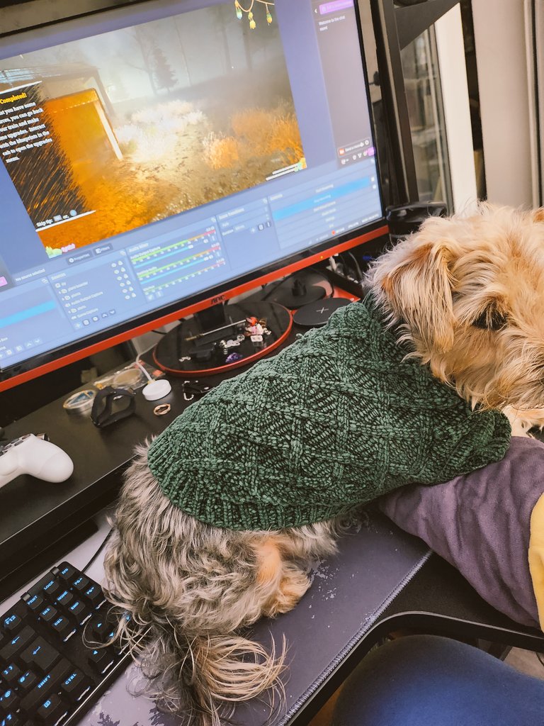 PyroRat18's tweet image. My dog loves to help with editing and recording and giving encouragement while I play games. 
#dog, #Gaming #horrorgame
