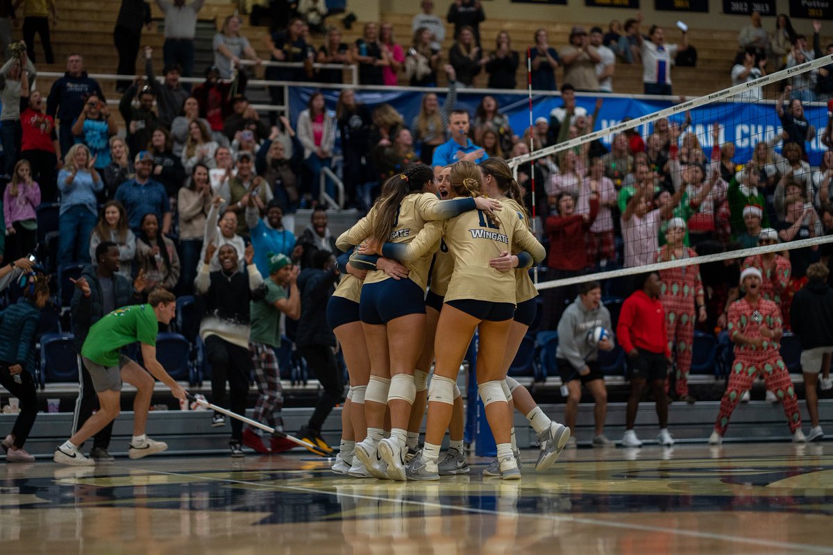 A girl should be two things: Who and what she wants

-Coco Chanel

 #NGWSD #onedog