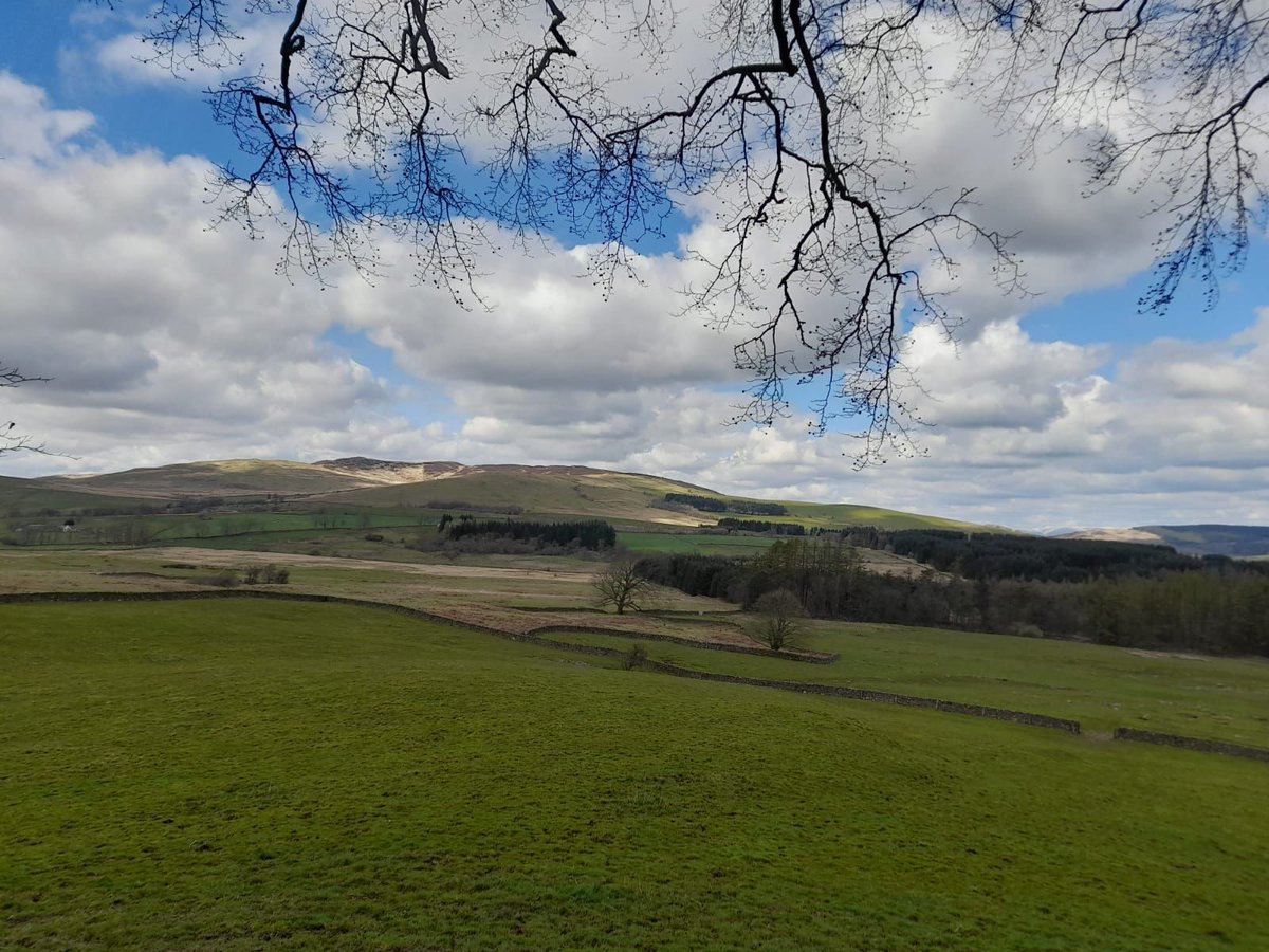 We'd much rather have been out walking in this beautiful countryside today!

#ArdenHolidayCottage #SeeSouthScotland #WinterBreak #WinterWalks #SpringBreaks