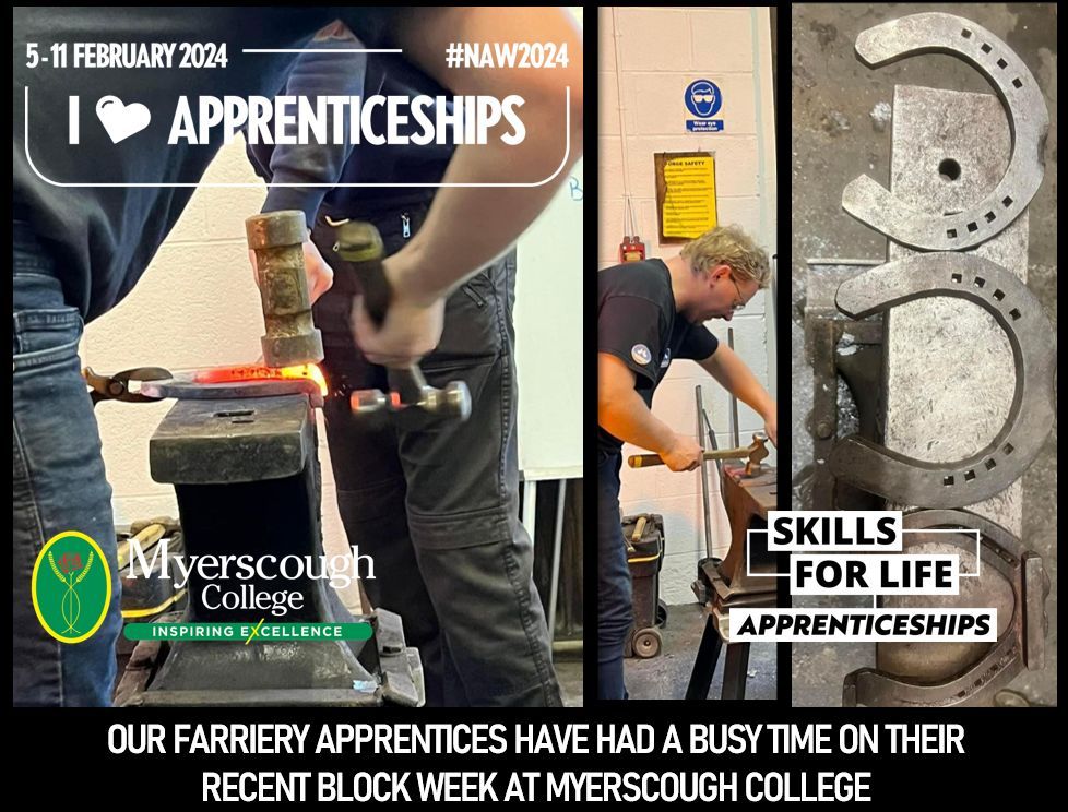 Our Farriery Apprentices have had a busy time on their recent block training week @myerscoughcoll building their skills, knowledge and behaviours 👍 
#NAW2024 #SkillsForLife