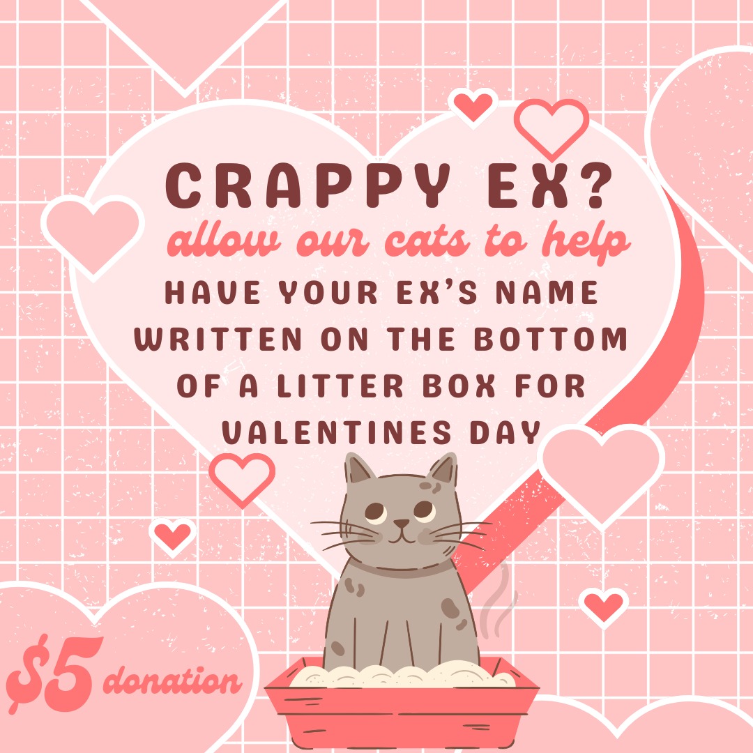 🐾 Last chance! Dealing with a crappy ex, terrible boss, or frenemy? For a $5 donation, we'll write their name at the bottom of a litter box for our cats to take care of business. Venmo @morrisanimalrefuge or visit morrisanimalrefuge.kindful.com. Let the cat therapy begin! 🐱💩 #LastDay