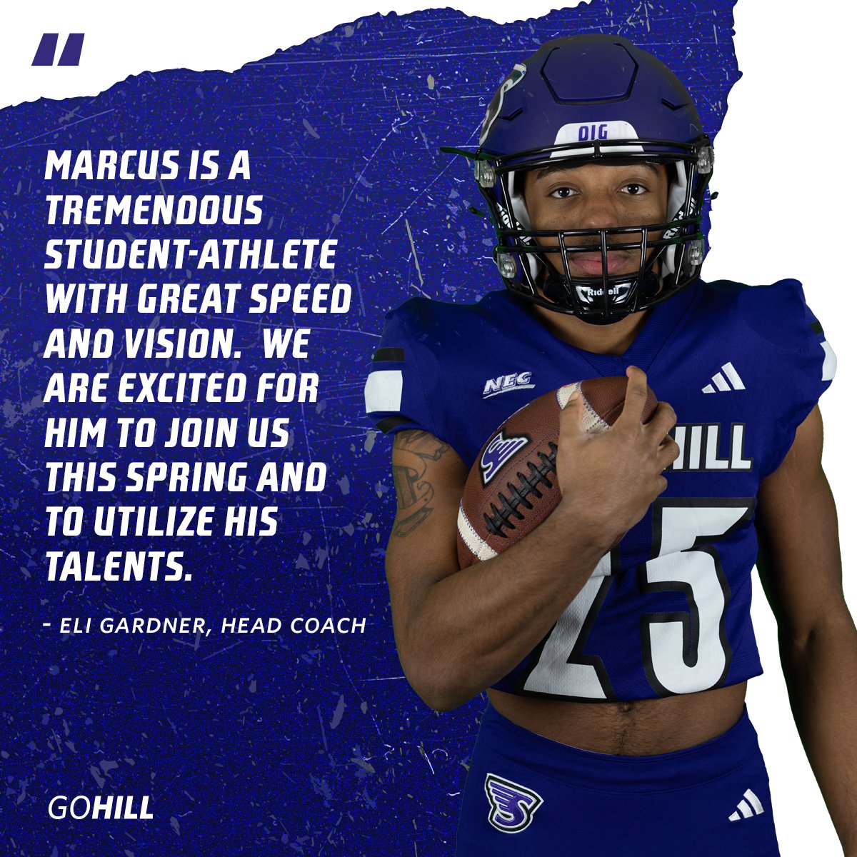 Stonehill Football #DIG tweet media