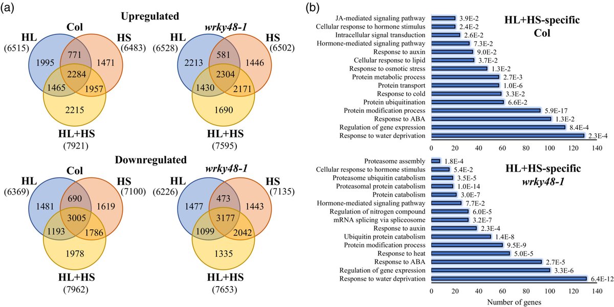 Abiotic stress in plants (Green Survivors) (@abioticstress) on Twitter photo Article by <a href="/DamianBalfagon/">Damián Balfagón</a> et al. <a href="/agomezcadenas/">Aurelio Gómez</a> <a href="/ZandalinasS/">Sara Izquierdo Zandalinas</a> <a href="/ThePlantJournal/">The Plant Journal</a> <a href="/SEBiology/">SEB @sebiology.bsky.social</a> <a href="/wileyplantsci/">Wiley Plant Science</a>
#WRKY48 negatively regulates plant #acclimation to a combination of high #light and #heat stress
onlinelibrary.wiley.com/doi/10.1111/tp…
#PlantSci <a href="/CropPerformance/">Crop Performance - Farming in Harmony with Nature</a> <a href="/AbiluTangwa/">Tangwa Abilu.🌿🌏🌾🍀🍃.SDG's.</a> <a href="/Sdg13Un/">🇺🇳 #UN 🇺🇳 #SDGs 🌏 #ClimateAction 🌐 #ActNow</a> Article by <a href="/DamianBalfagon/">Damián Balfagón</a> et al. <a href="/agomezcadenas/">Aurelio Gómez</a> <a href="/ZandalinasS/">Sara Izquierdo Zandalinas</a> <a href="/ThePlantJournal/">The Plant Journal</a> <a href="/SEBiology/">SEB @sebiology.bsky.social</a> <a href="/wileyplantsci/">Wiley Plant Science</a>
#WRKY48 negatively regulates plant #acclimation to a combination of high #light and #heat stress
onlinelibrary.wiley.com/doi/10.1111/tp…
#PlantSci <a href="/CropPerformance/">Crop Performance - Farming in Harmony with Nature</a> <a href="/AbiluTangwa/">Tangwa Abilu.🌿🌏🌾🍀🍃.SDG's.</a> <a href="/Sdg13Un/">🇺🇳 #UN 🇺🇳 #SDGs 🌏 #ClimateAction 🌐 #ActNow</a>