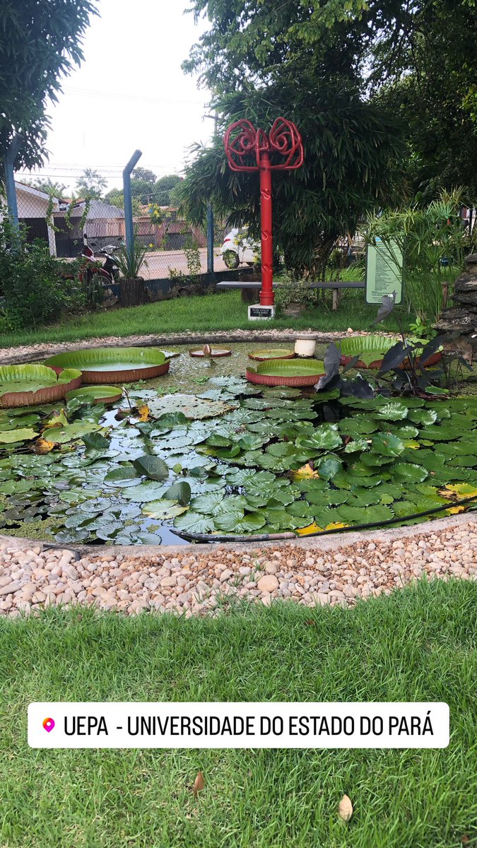 AnnaStudy_'s tweet image. oii study oque temos pra hj?
por aqui temos matrícula na faculdade 🥹🥹🥹