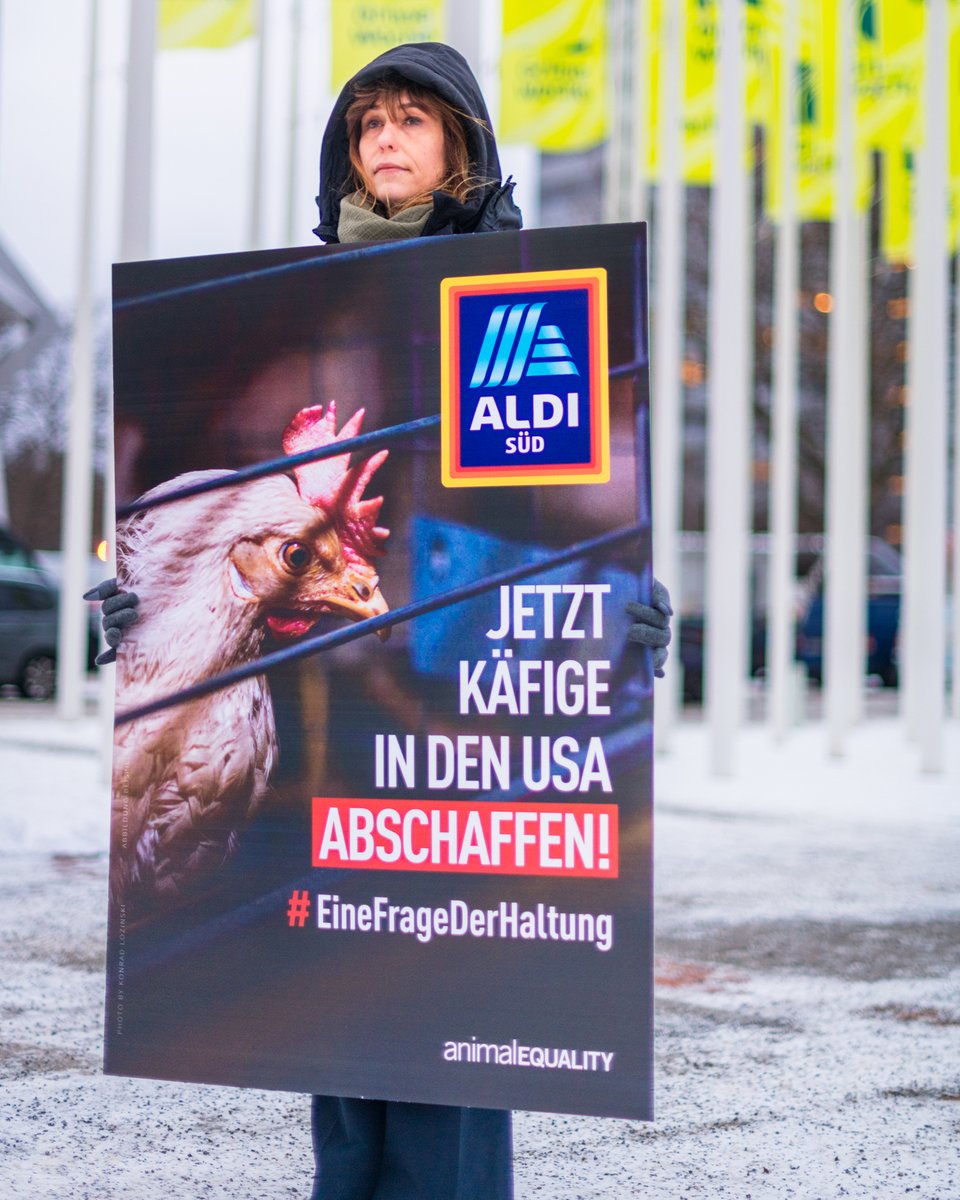 howmanypickles's tweet photo. Germans are not happy with @AldiUSA. They thought #ALDI was a responsible grocery chain, but they are allowing extreme animal abuse in their US operations. https://t.co/0cRFLEwtKT https://t.co/vsYzPgRLEW #EineFrageDerHaltung #AldiSupportsCruelty #ALDIthing #ALDIfinds
