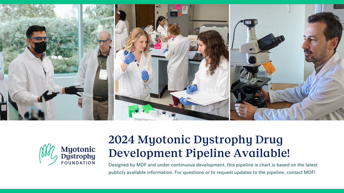 MyotonicStrong's tweet image. MDF publishes the latest update to our #MyotonicDystrophy Drug Development Pipeline! Learn more about the current state of DM research, with links to press releases and recent MDF webinars and presentations. Download the chart now at: myotonic.org/sites/default/…