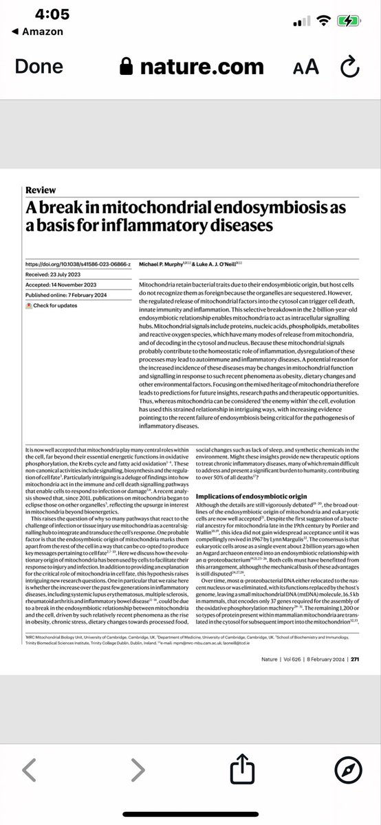 MitoCafe tweet media