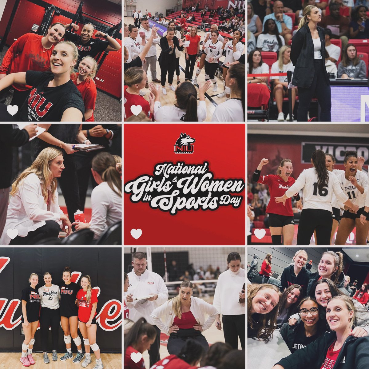 Sondra D’Amore tweet media