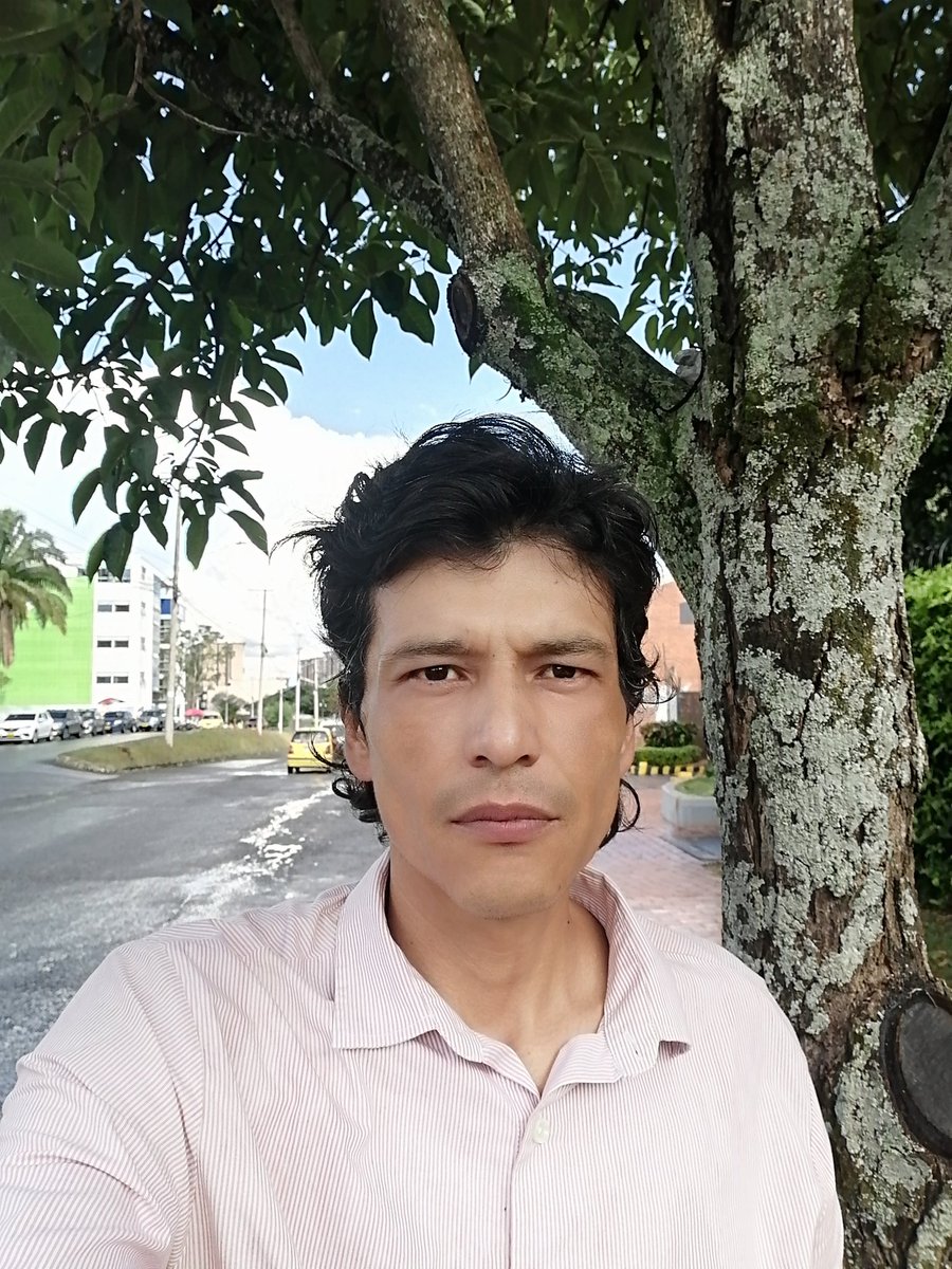 Hans Alejandro Gamboa Rengifo dibujante (@pinturashans) on Twitter photo 