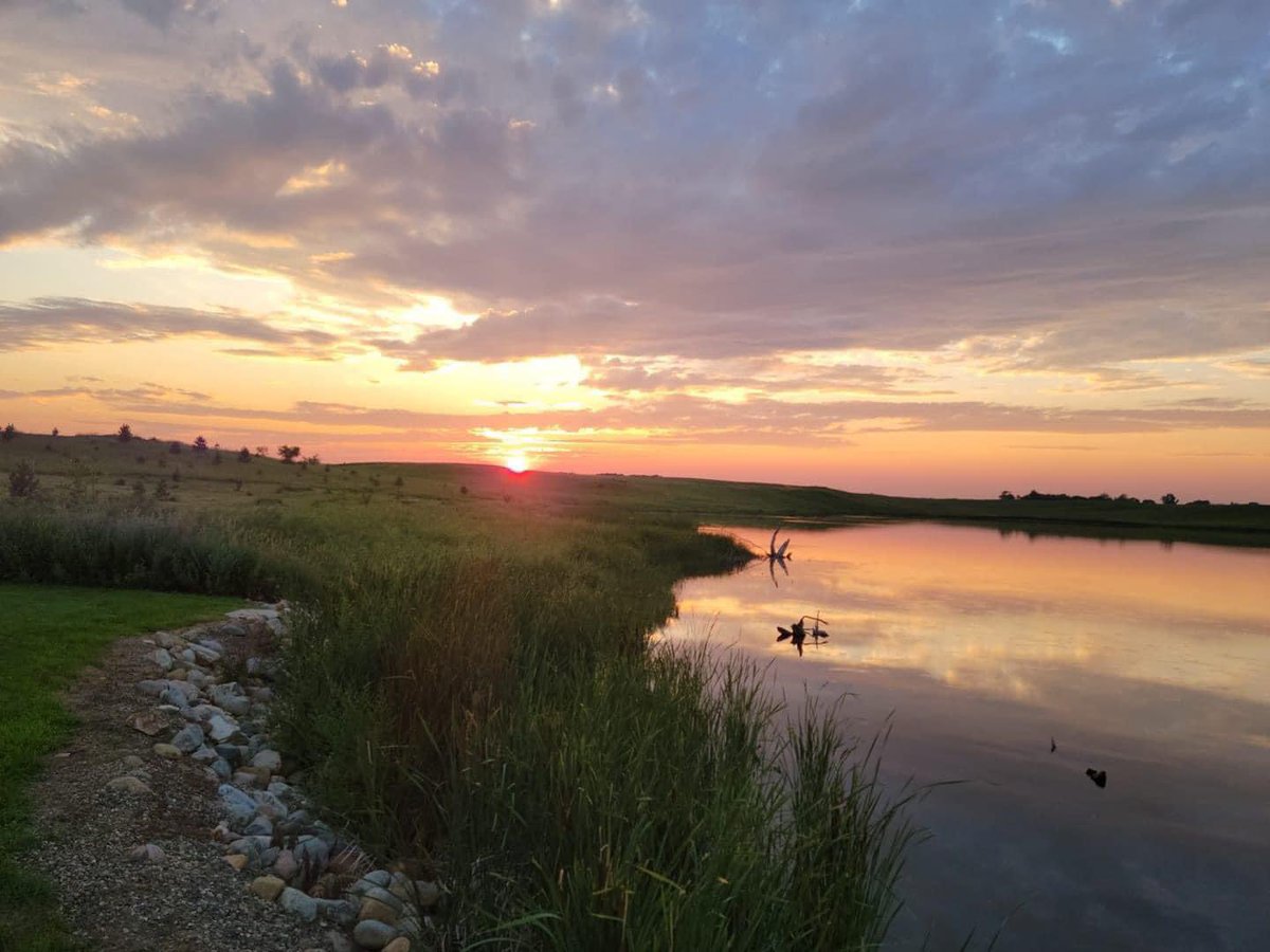 Prairie Pothole Music Festival tweet media