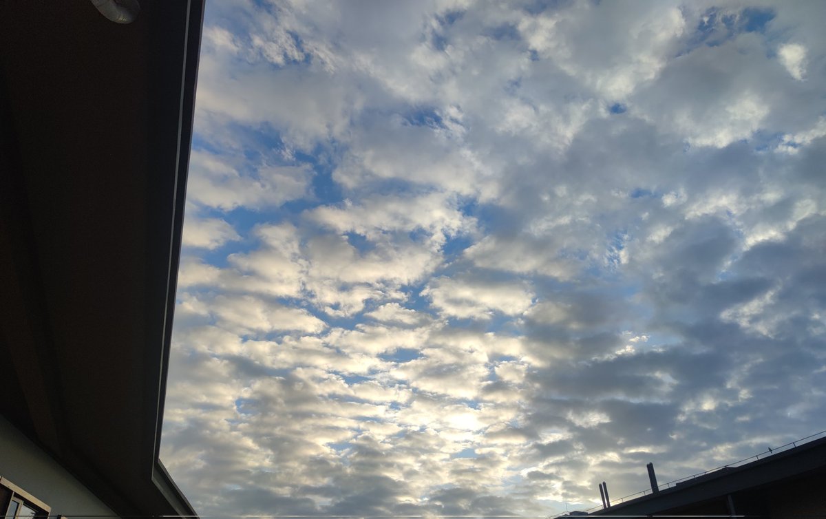 zhoumo (@zhoumo576725) on Twitter photo 