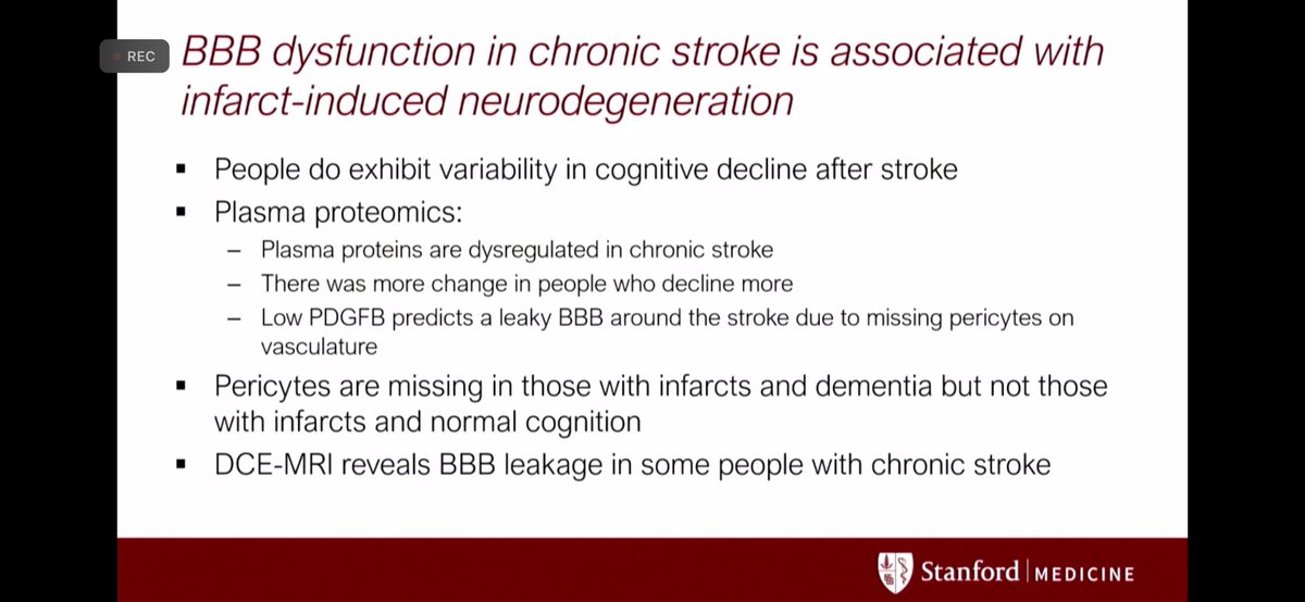 Very exciting data on BBB leakage as a novel biomarker for post stroke dementia by @MarionBuckwalt2 lab #ISC24 @AHAScience #VCID #neurotwitter