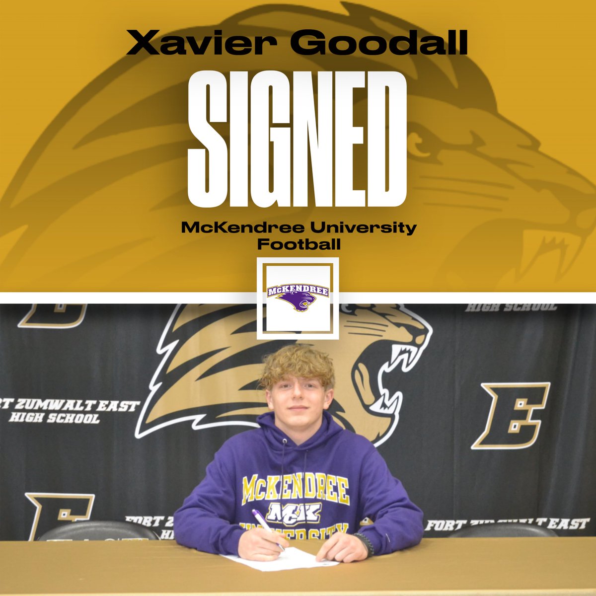 FZE Activities tweet media