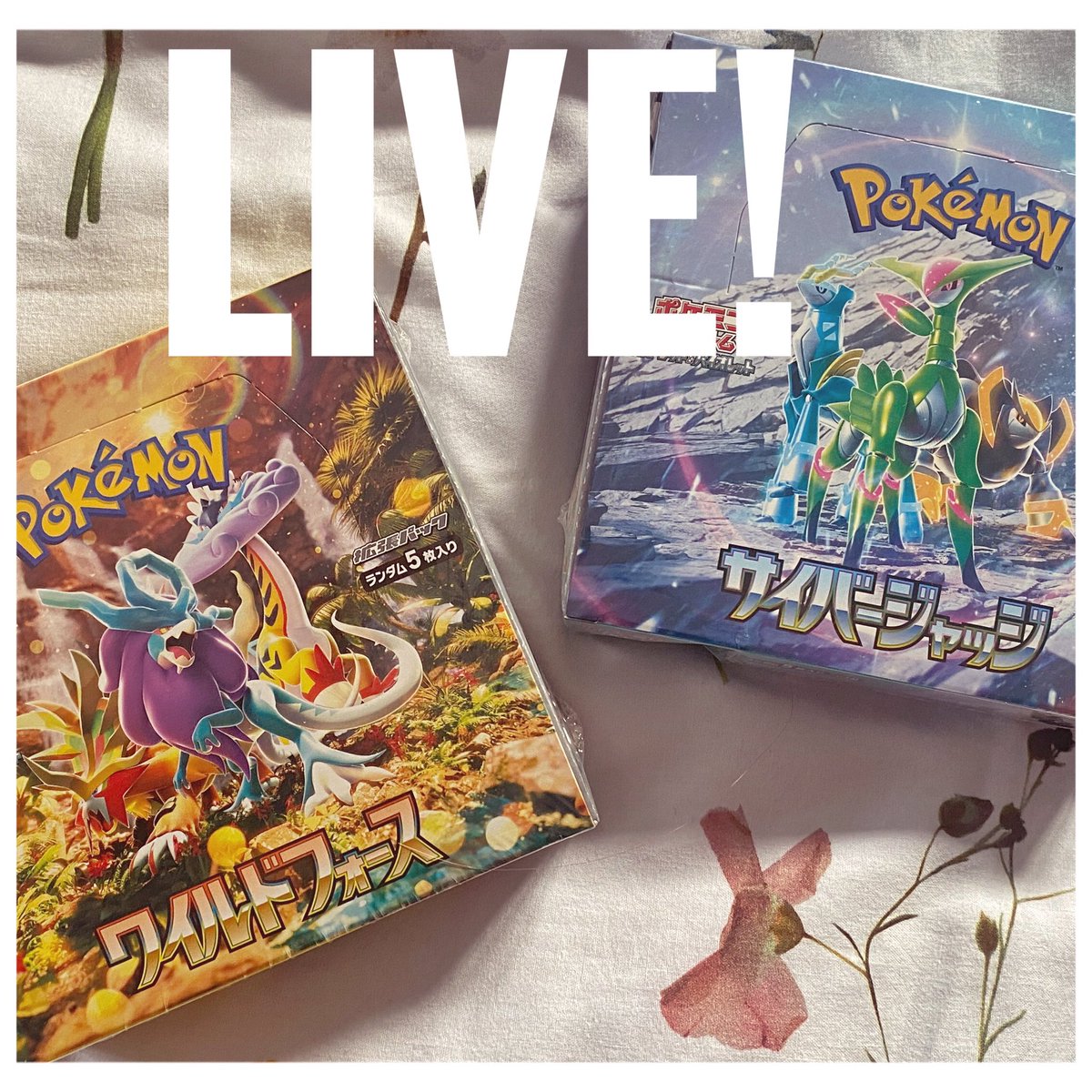 i_like_space's tweet photo. Starting soon!! Opening Pokémon Wild Force and Cyber Judge!  https://t.co/YjA7jYNb0S https://t.co/wd41ZgFarQ