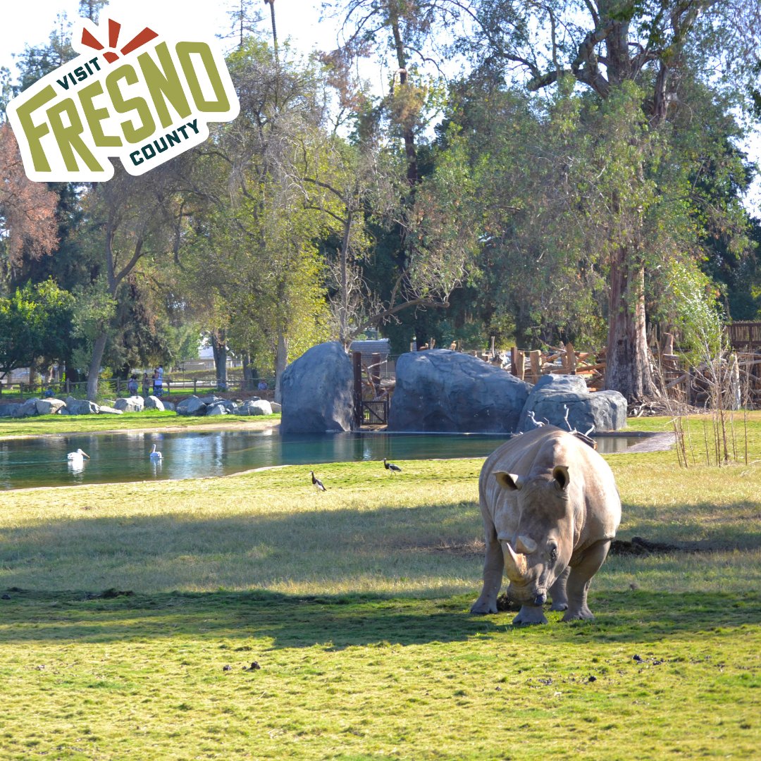 The Fresno Chaffee Zoo is a world-class zoo, home to more than 200 species. Immerse yourself in various exhibits, including the African Adventure, Kingdoms of Asia and Sea Lion Cove. Find more info here: tinyurl.com/4kkpjnft.