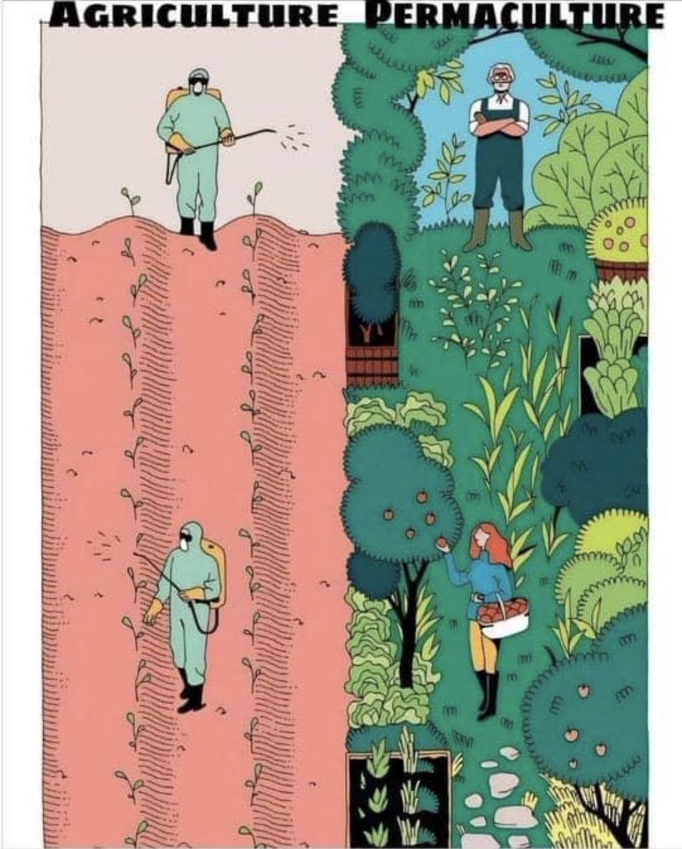 <a href="/WallStreetSilv/">Wall Street Silver 🦍🚀</a> Happy for all except for the use of pesticides. We need less monocrops laced with poison and more permaculture.