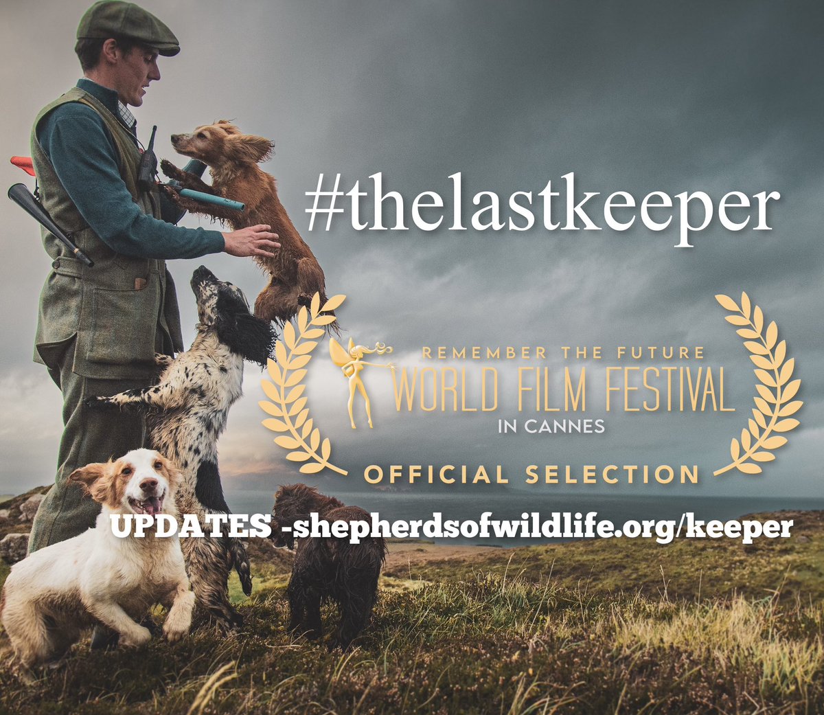 Tom Opre tweet media