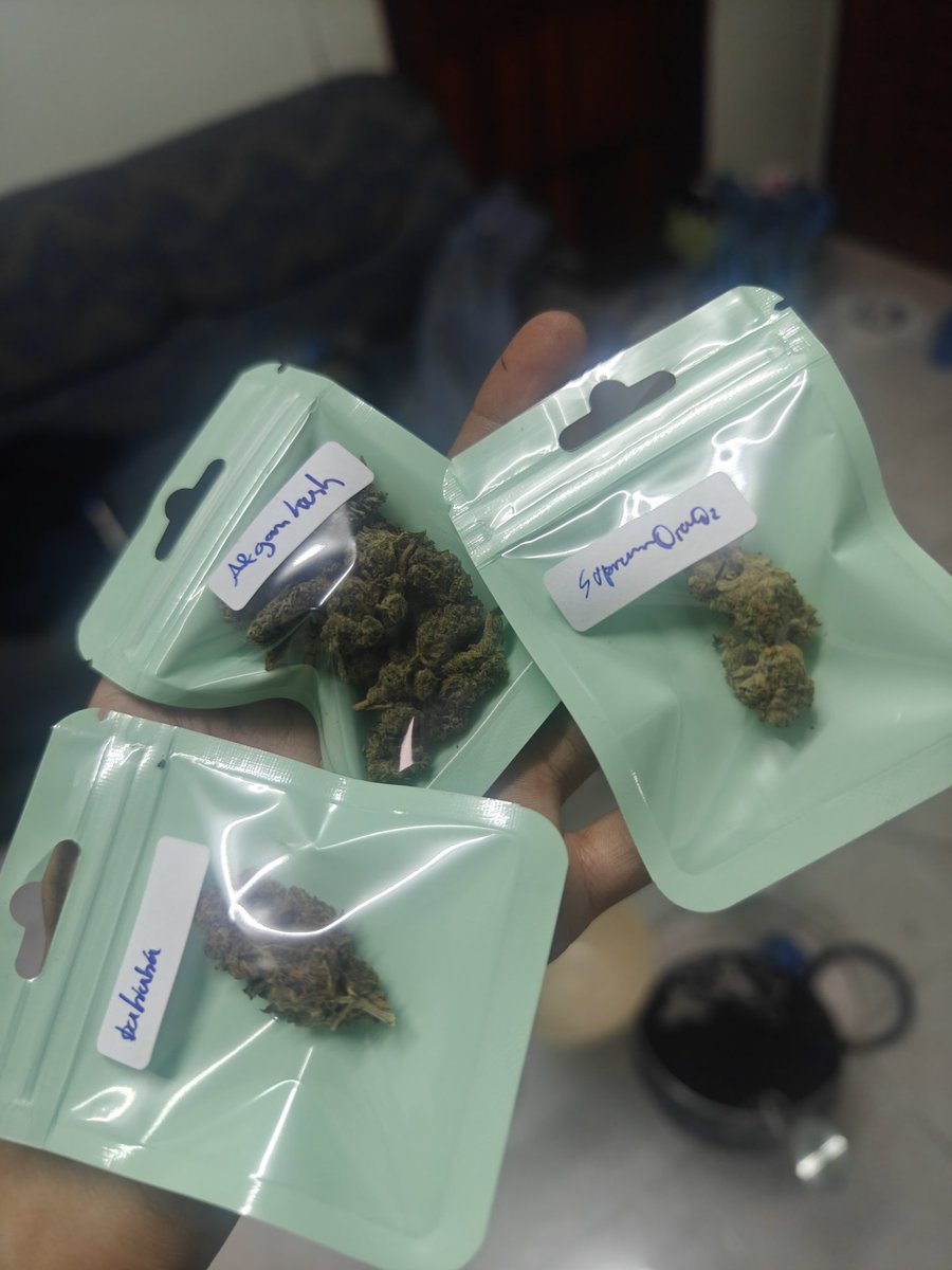 OrderHigh1's tweet image. 🙏ขอบคุณครับ มีแบ่ง💯 #กัญชาพระราม2
#กัญชากรุงเทพ #กัญชาบางบอน #บางบอน #เอกชัย #พระราม2 #โลตัสพระราม2 #กัญชาหนองแขม #กัญชา