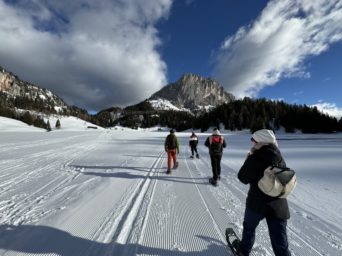 geogebra's tweet image. 🎿❄️ Team Austria hit the slopes! From skiing to snowshoe hiking and snowman building, it was all about snow-filled fun and mountain magic. ⛄🏔️ #AustriaInWinter #SnowDay #TeamOuting #GeoGebra