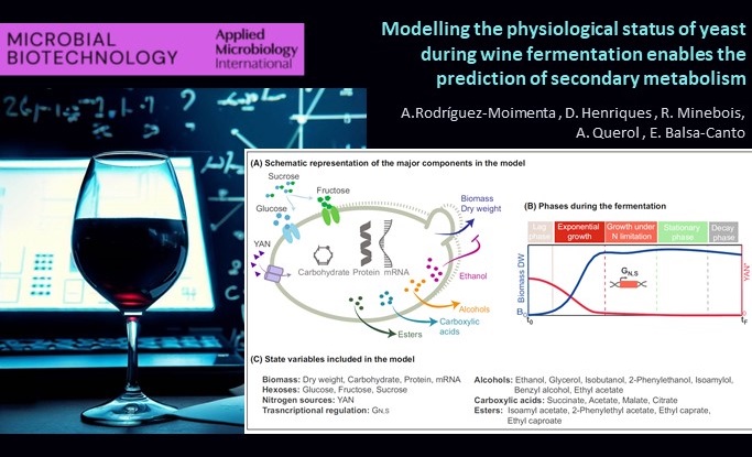 Eva Balsa-Canto tweet media