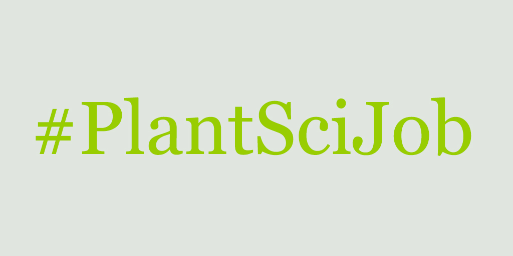 #PlantSciJobs PhD student / PostDoc: Evolutionary aspects of plant cell biology. 📍In @PhDenninger’s lab @TU_Muenchen Within “MAdLand” (@watertoland) @dfg_public Priority Programme) deutsche-botanische-gesellschaft.de/en/job-opening…