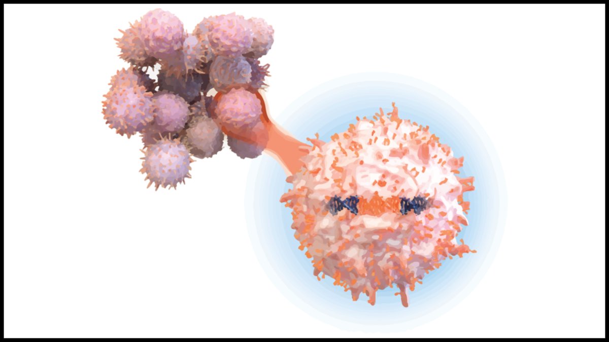 A new technique developed by @NUSynBio member @jaehyukchoimd and a UCSF colleague made human T-cells 100 times more potent at killing cancer cells. His findings were published in @Nature. tinyurl.com/mpvba3wb