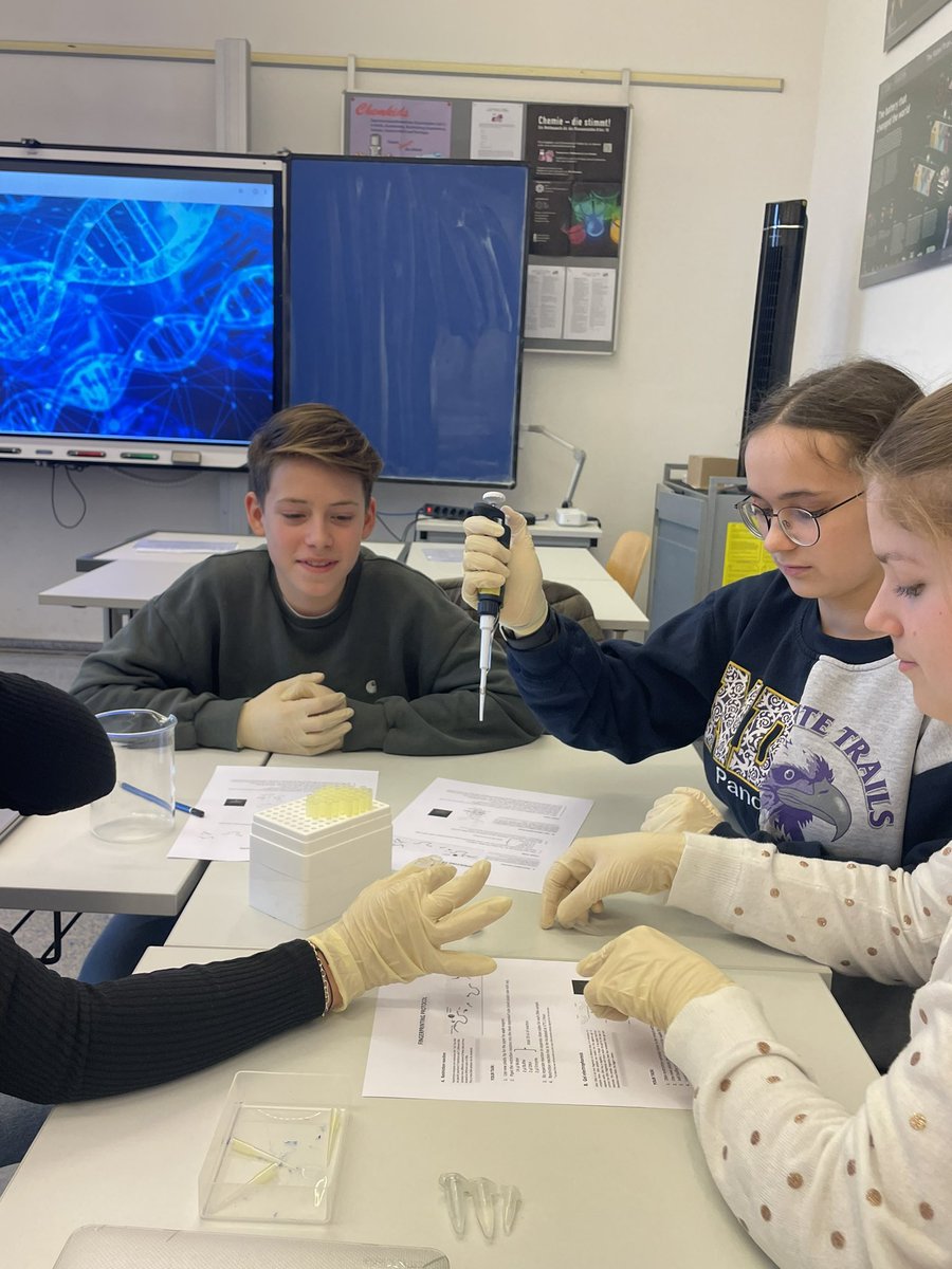 science2school's tweet photo. Teamwork is key in research! Preparing the samples for the DNA fingerprint 🧬 @StefanDiezLab @BCUBE_TUDresden @tudresden_de @digsbb @CRTDpress https://t.co/27syKxcqdl