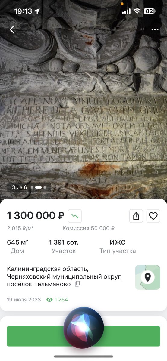говøрю вам tweet media