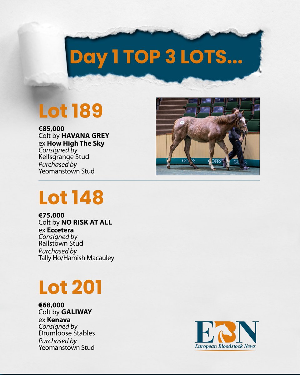 EBN (@bloodstocknews) on Twitter photo ๐ At the end of Day 1 of the <a href="/Goffs1866/">Goffs</a> February Sale the Top Lots are... ๐
๐ฅ Lot 189 - Colt by <a href="/WhitsburyManor/">Whitsbury Manor Stud</a>'s HAVANA GREY was consigned by <a href="/Kellsgrange2010/">Kellsgrange Stud</a> and sold to <a href="/YeomanstownStud/">Yeomanstown Stud</a> for โฌ85,000
๐ Full report in tomorrow's EBN
#ReadAllAboutIt ๐ At the end of Day 1 of the <a href="/Goffs1866/">Goffs</a> February Sale the Top Lots are... ๐
๐ฅ Lot 189 - Colt by <a href="/WhitsburyManor/">Whitsbury Manor Stud</a>'s HAVANA GREY was consigned by <a href="/Kellsgrange2010/">Kellsgrange Stud</a> and sold to <a href="/YeomanstownStud/">Yeomanstown Stud</a> for โฌ85,000
๐ Full report in tomorrow's EBN
#ReadAllAboutIt