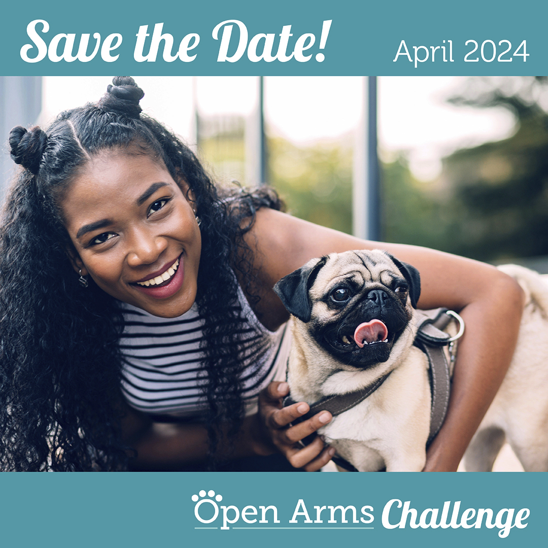 ASPCAPro's tweet photo. Registration for the 2024 #OpenArmsChallenge is open from February 26 โ March 6! This is a chance for animal welfare organizations to create a new program or expand an existing one focused on keeping pets and people together. Check out more info here. ๐ https://t.co/VjTylusZOt https://t.co/grDkMcZqgL