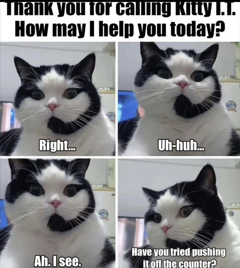 IT Support as a cat 🐈 lol.

#informationtechnology #informationsecurity #technicalsupport #technicalservices #desktopsupport #desktopsupportengineer #desktopengineer #servicedeskengineer #servicedeskanalyst #career #itsupport #itsupportspecialist #itsupportservices