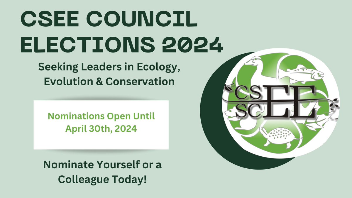 CSEE_SCEE tweet media